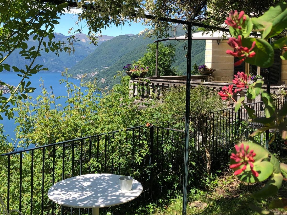 B&B Villa Le Ortensie Faggeto Lario Exterior foto