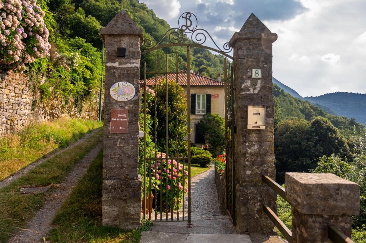 B&B Villa Le Ortensie Faggeto Lario Exterior foto